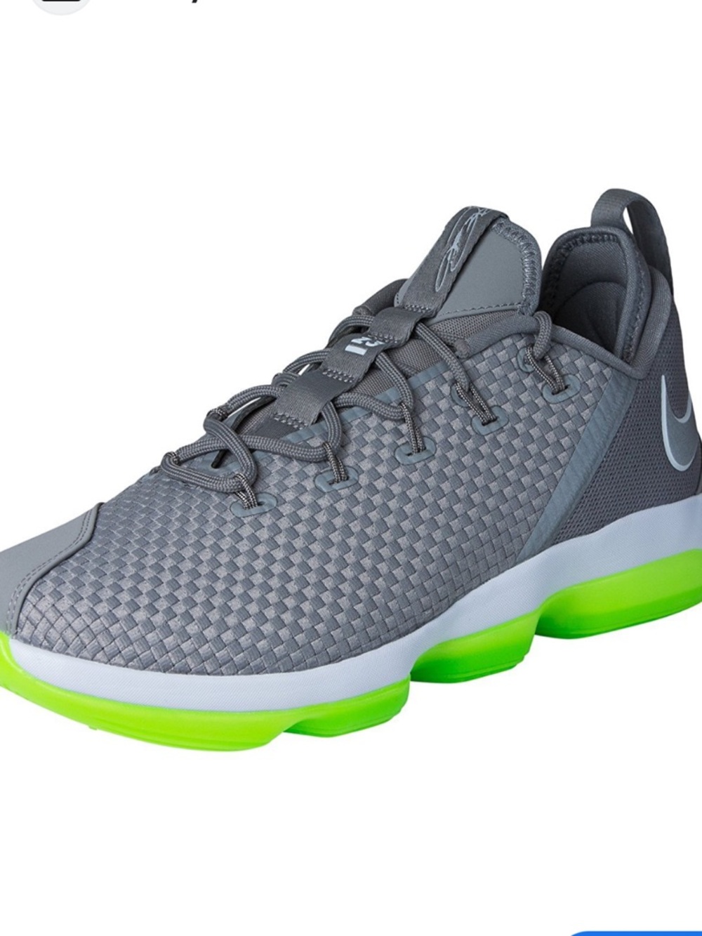 LeBron XIV Low Dunkman Basketball Shoes